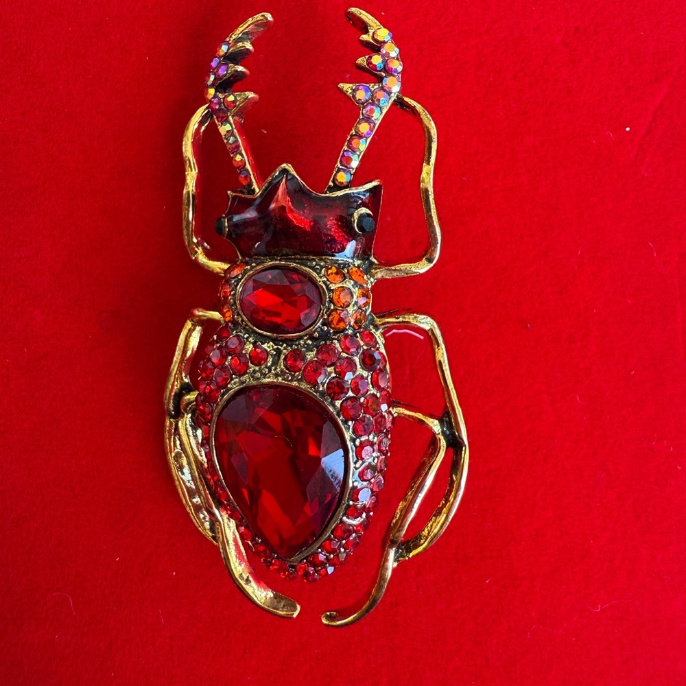 Gold and Red Jewel Beetle Brooch Available